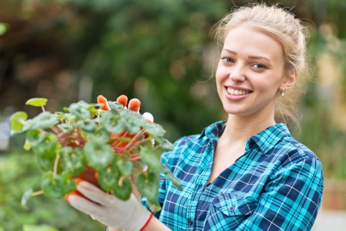 Lush residential garden maintenance in Norwood with tidy lawn and shrubs