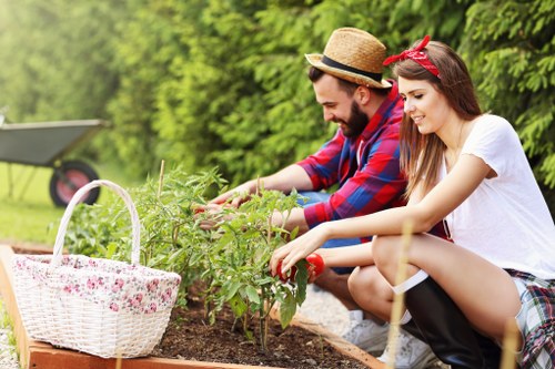 Healthy residential lawn care in Norwood with lush green grass