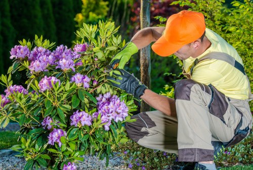 Healthy shrubs and trees installed through planting services in Norwood