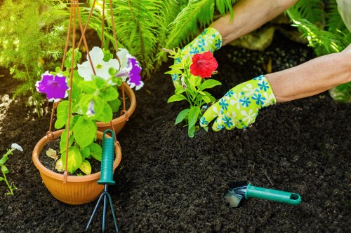 Residential garden planning for landscaping in Norwood