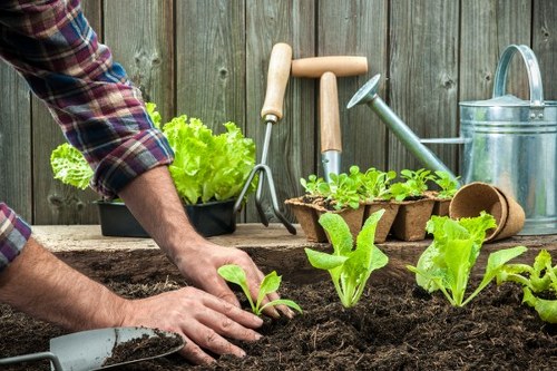 Annual policy review for Norwood landscaping operations