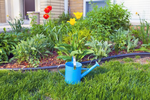 Modern landscape gardening layout in Norwood backyard