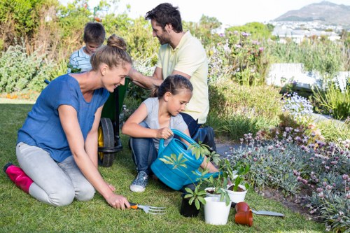 Planning a garden renovation in Norwood with landscape layout ideas