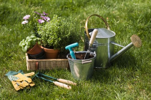 Landscape team planning planting services in Norwood