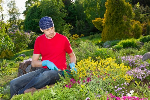 Supervisor reviewing a landscaping complaint and corrective action