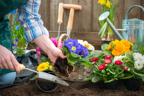 Thoughtful landscaping design for a Norwood home garden