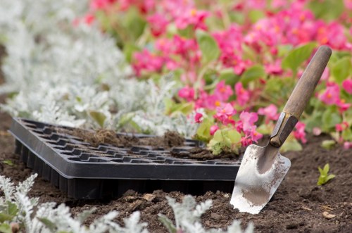 Soft landscaping and lawn installation in Norwood