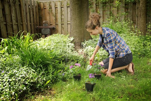 Seasonal lawn maintenance in a Norwood backyard