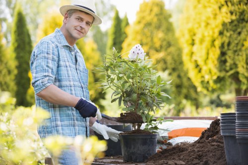 Free quote policy for Landscapers Norwood rubbish clearance jobs