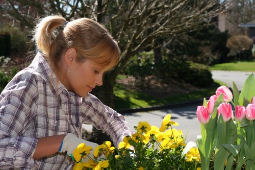 Preparing soil for flower bed creation in Norwood