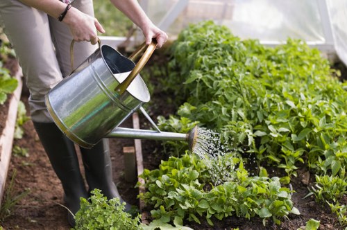 Ethical landscaping business commitment to human rights