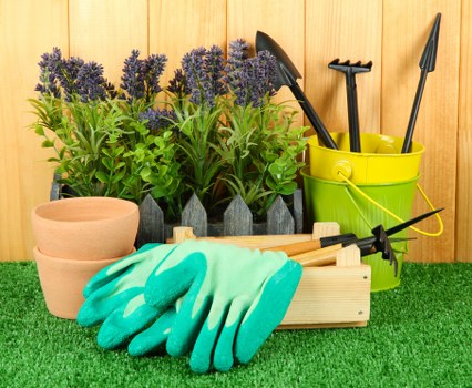 Professional landscaping in Norwood with plants and pathways