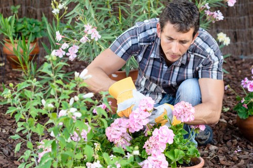 Insured rubbish company providing safe and professional Landscapers Norwood services